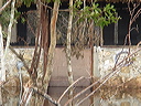 dsc00602